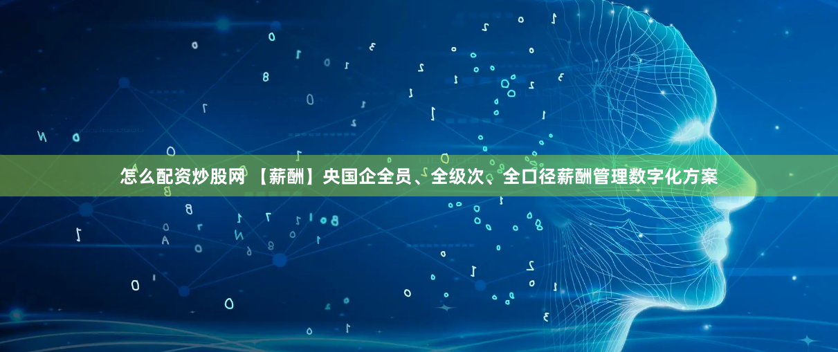 怎么配资炒股网 【薪酬】央国企全员、全级次、全口径薪酬管理数字化方案